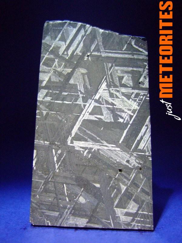 Muonionalusta Meteorite slice 73.9g
