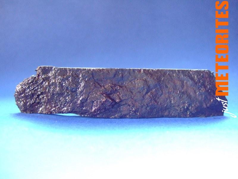 Muonionalusta Meteorite endcut 53.0g