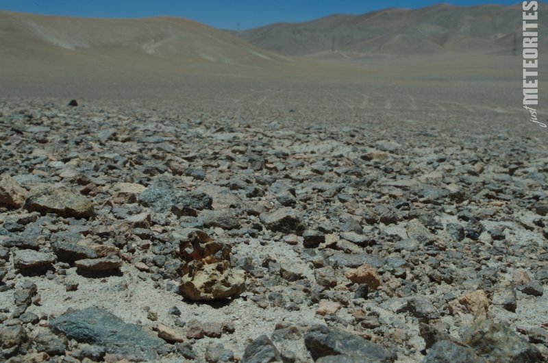 Imilac meteorite in situ