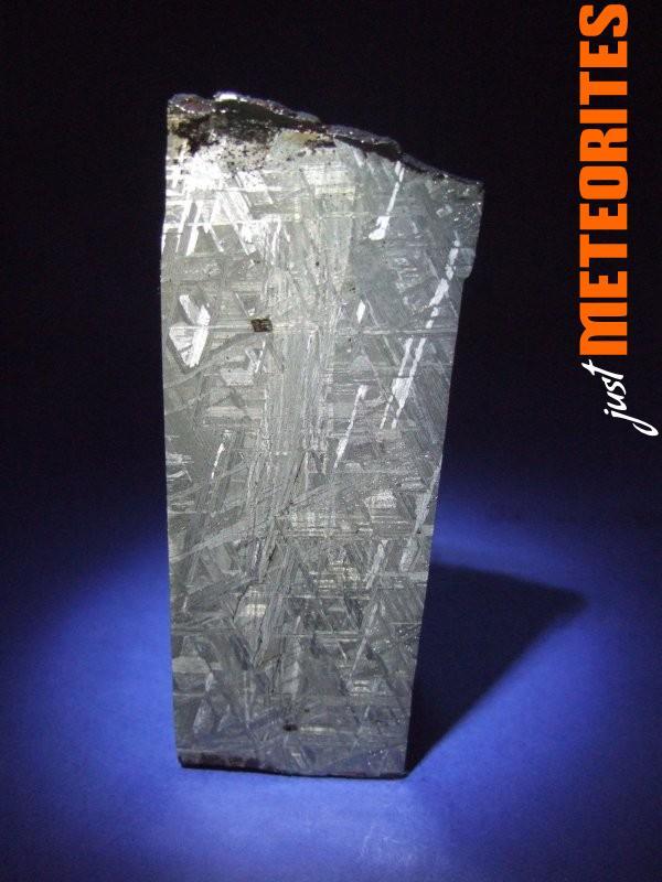 Muonionalusta Meteorite slice 119.3g