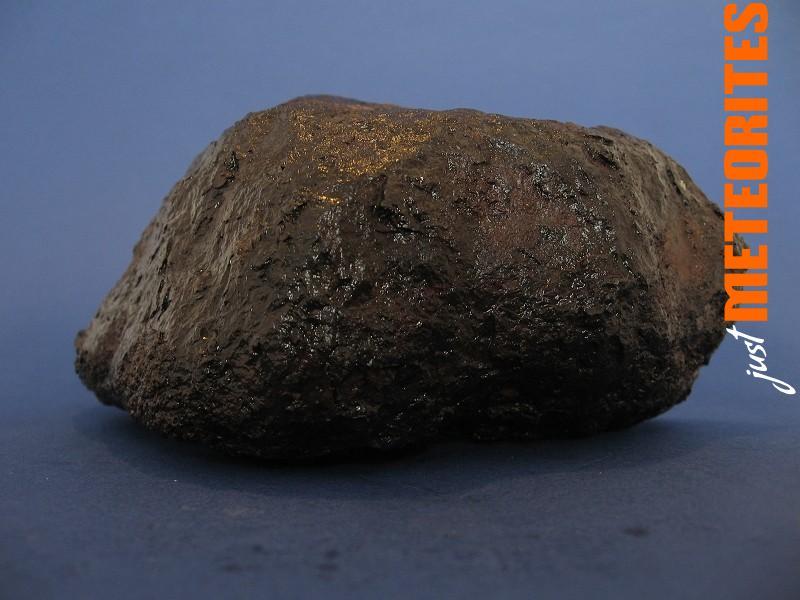 Muonionalusta Meteorite etched endcut 1876g