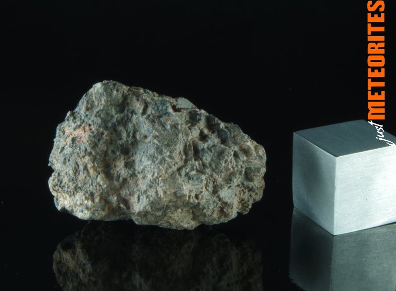 Monturaqui Meteorites for sale