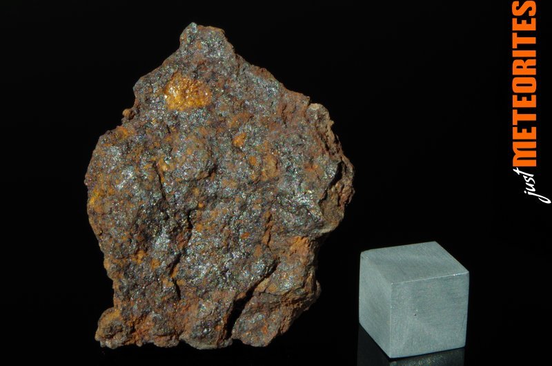 Vaca Muerta meteorites for sale